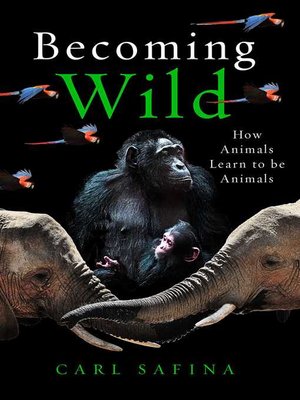 cover image of Becoming Wild